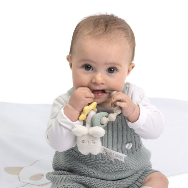 Chicco Anel de dentição Coelhinho Doudou, 0m+