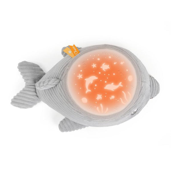 Ch.Bri12546000000 Golfinho Boa Noite