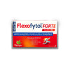 TILMAN FLEXOFYTOL FORTE 14 COMP