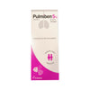 PULMIBEN 5% XAROPE 250 ML