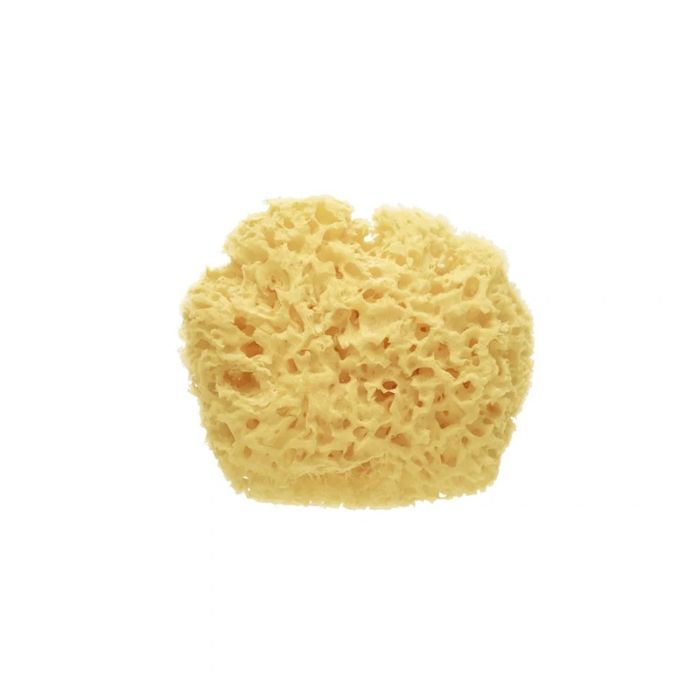 Saro Esponja Natural Banho Premium