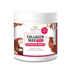 BIOCYTE COLLAGEN MAX PO CACAU 260G