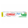 COREGA SEM SABOR CR 70G